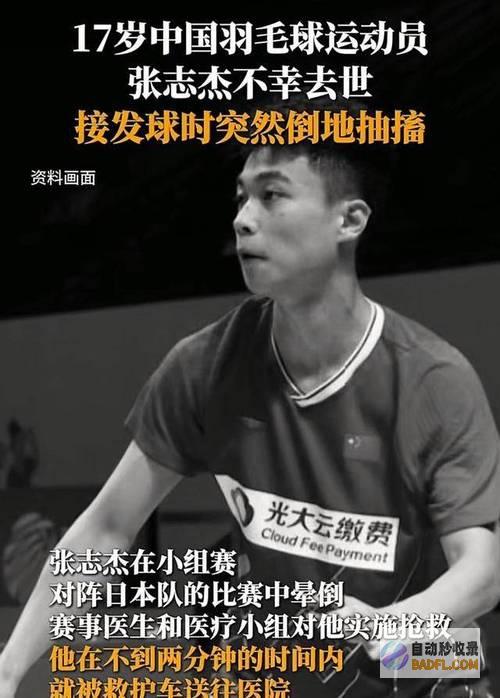 结果不出所料他原本有活下去的宿愿无比心塞张志