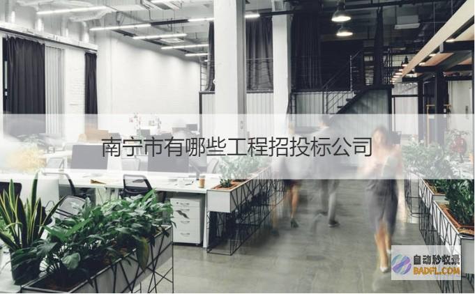 优化您的南宁网站：提升在线能见度与业务成功 (南宁优化网站)