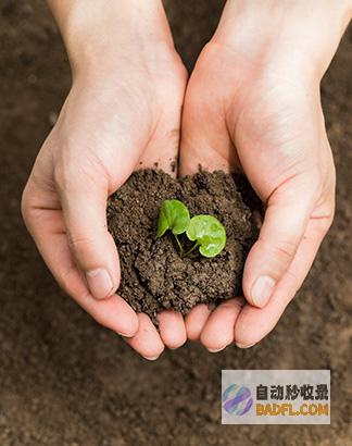 嘉兴 SEO 优化：提升您的在线业务能见度和增长潜力 (嘉兴seo服务)