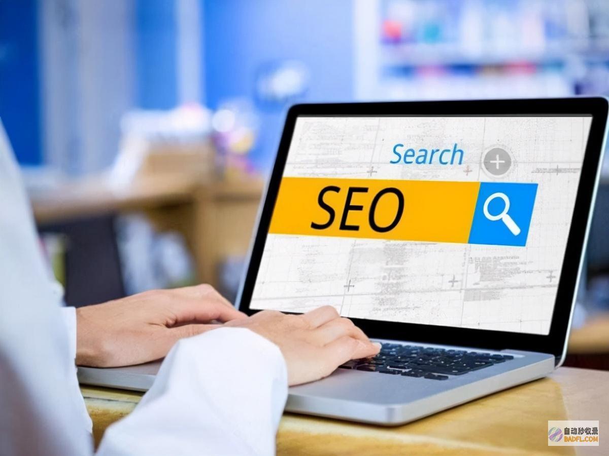 搜索引擎优化 (SEO) 的终极指南：提升网站排名的详细说明 (搜索引擎优化名词解释)