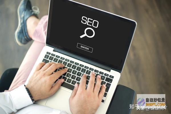 掌握搜索引擎优化：逐步提升网站可见度和流量的详尽策略 (掌握搜索引擎的使用方法)