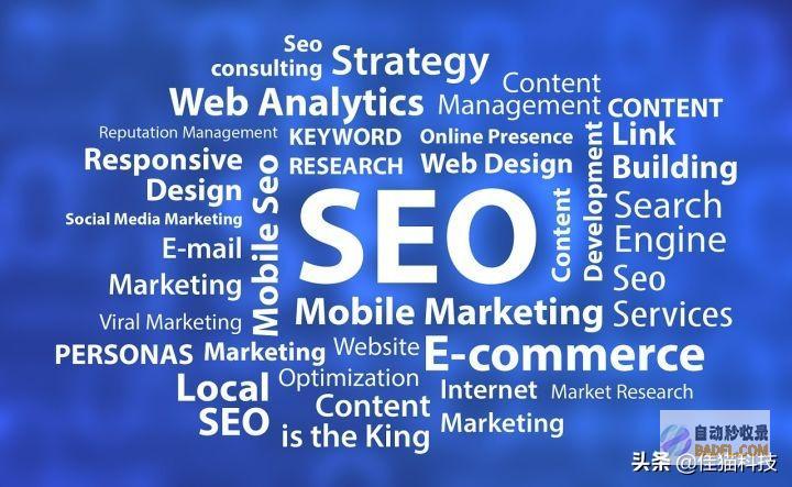 掌握 SEO 网站优化秘诀，提升您的在线可见度和业务增长 (seo需要掌握的技术)