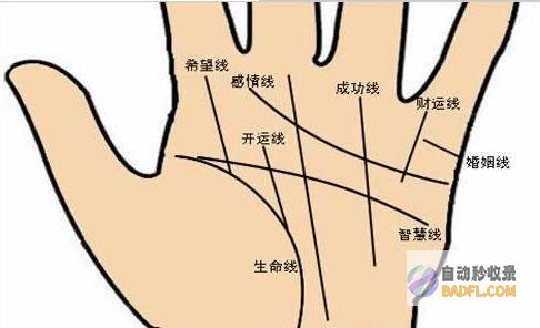 全面指南：掌握关键词排名优化的艺术，提升网站能见度 (全面掌握)