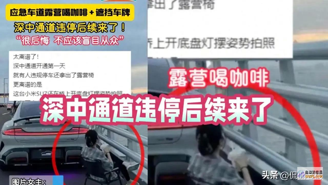 深中通道违停后续来了当事人不应该自觉从众很悔