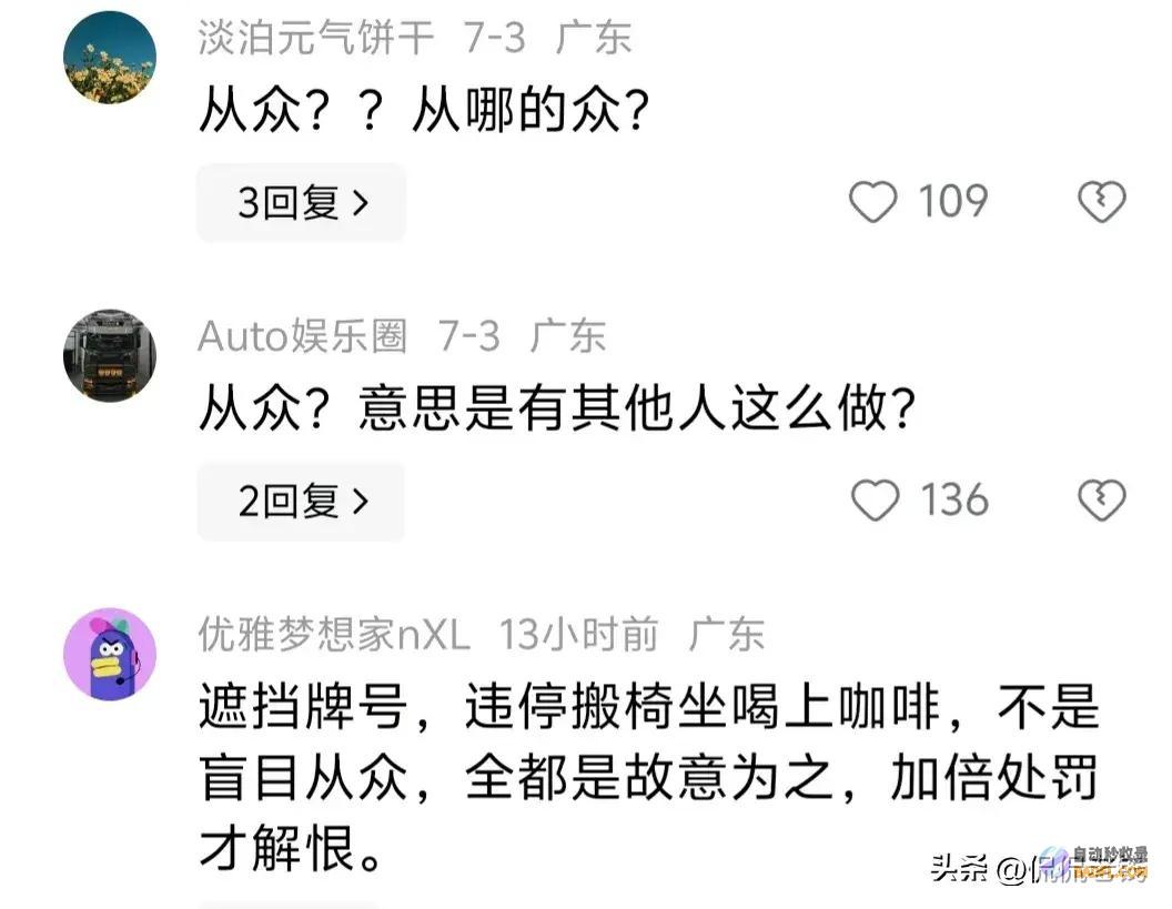 深中通道违停后续来了当事人不应该自觉从众很悔
