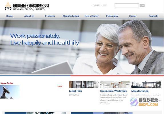 掌握英文网站优化：提升国际知名度和流量的终极指南 (掌握英文网站的方法)