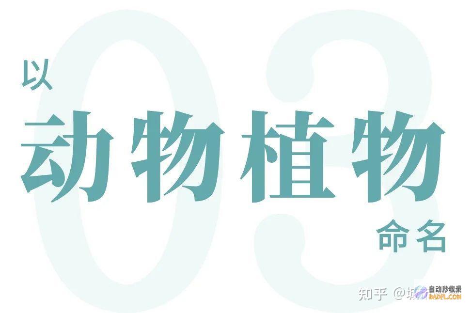 解锁重庆百度优化秘诀：为企业带来更多客户和收入