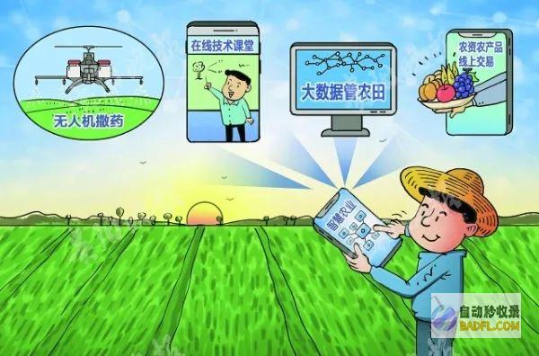 助推农业产业规模化开展 建瓯市徐墩镇 竹荪采摘合理时 (助推农业产业发展)