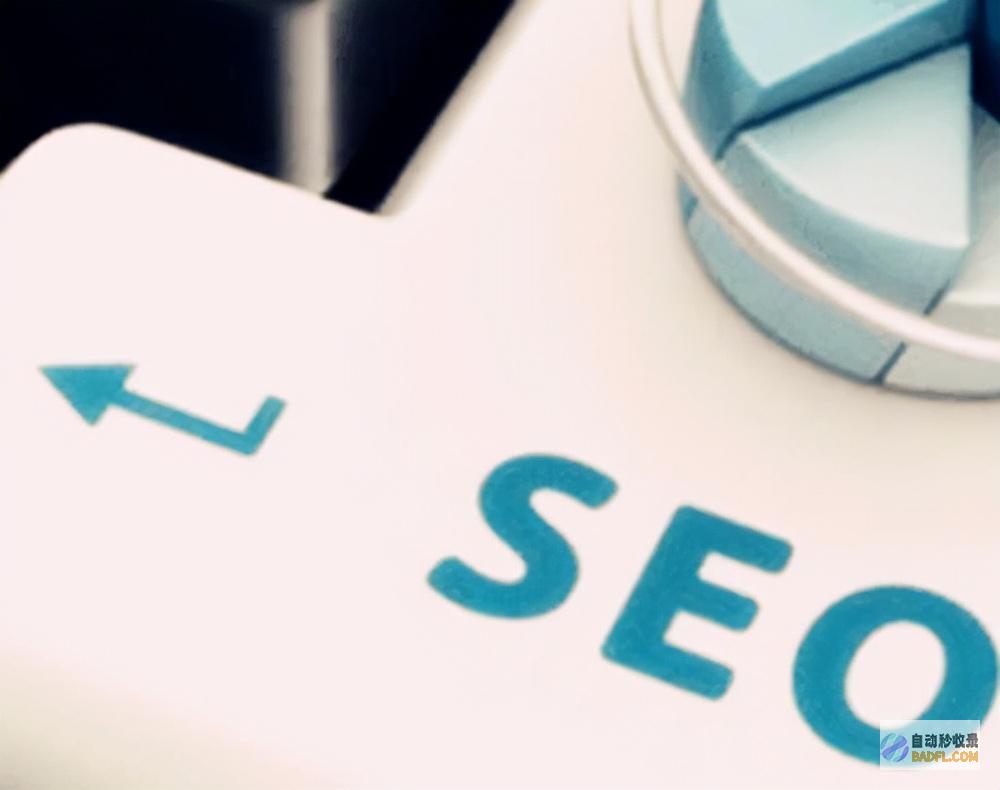 搜索引擎优化 (SEO):提升网站流量与知名度的终极指南 (搜索引擎优化是什么意思)