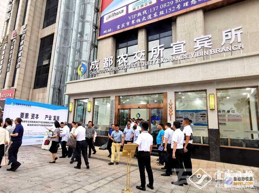 掌握成都关键词优化策略：增强网站可见度，吸引更多客户 (成都关键之道)