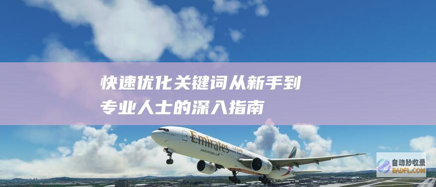 快速优化关键词:从新手到专业人士的深入指南 (快速优化关键词排名)