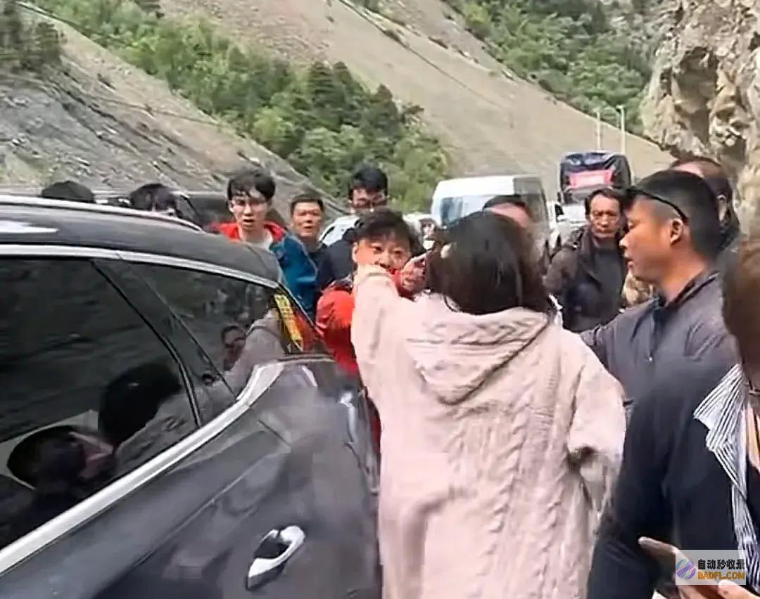 车上孕妇骂人扬言太嚣张318线一车逆行引众怒我7