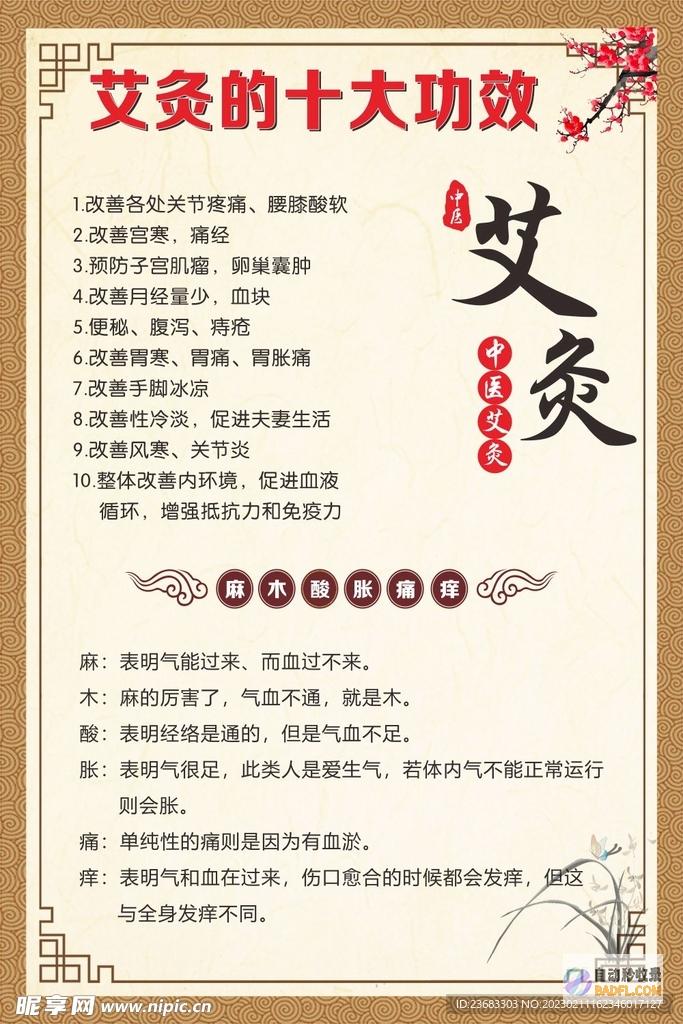 揭秘艾灸养生的奥秘：古代医术的智慧结晶，现代养生保健的新宠 (揭秘艾灸养生之道)