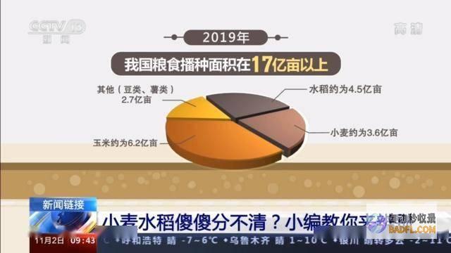 一等小麦占比67.5% 我省小麦品质好于上年 (一等小麦占比多少亩)