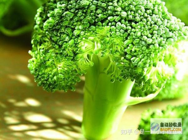 对抗前列腺炎的神奇草药和治疗技巧，彻底缓解疼痛和不适 (对抗ai)