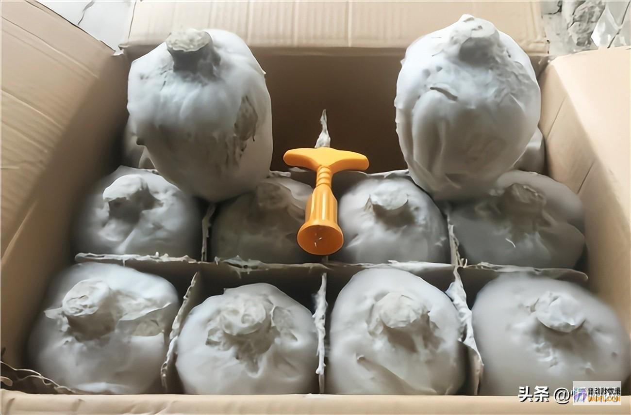 别喝了这可别拿身材开玩笑了没有一类是真的3类