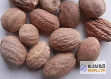 探索肉蔻的广阔世界：从其功效到作用，深入了解这种异国香料的秘密 (肉蔻特性)