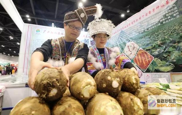 全国农产品批发市场猪肉平均多少钱为24.31元 农业乡村部 (全国农产品批发市场信息网)