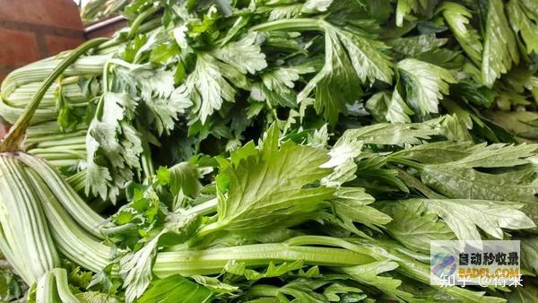 抗抑郁：肉蔻中的精油具有抗抑郁作用，有助于改善情绪和减轻压力。(抗抑郁的肉类)