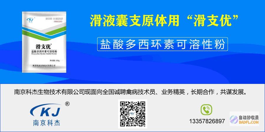 中央气候台三警齐发 8级以上雷暴微风或冰雹 暴雨 微风 (中央气候台三套节目表)