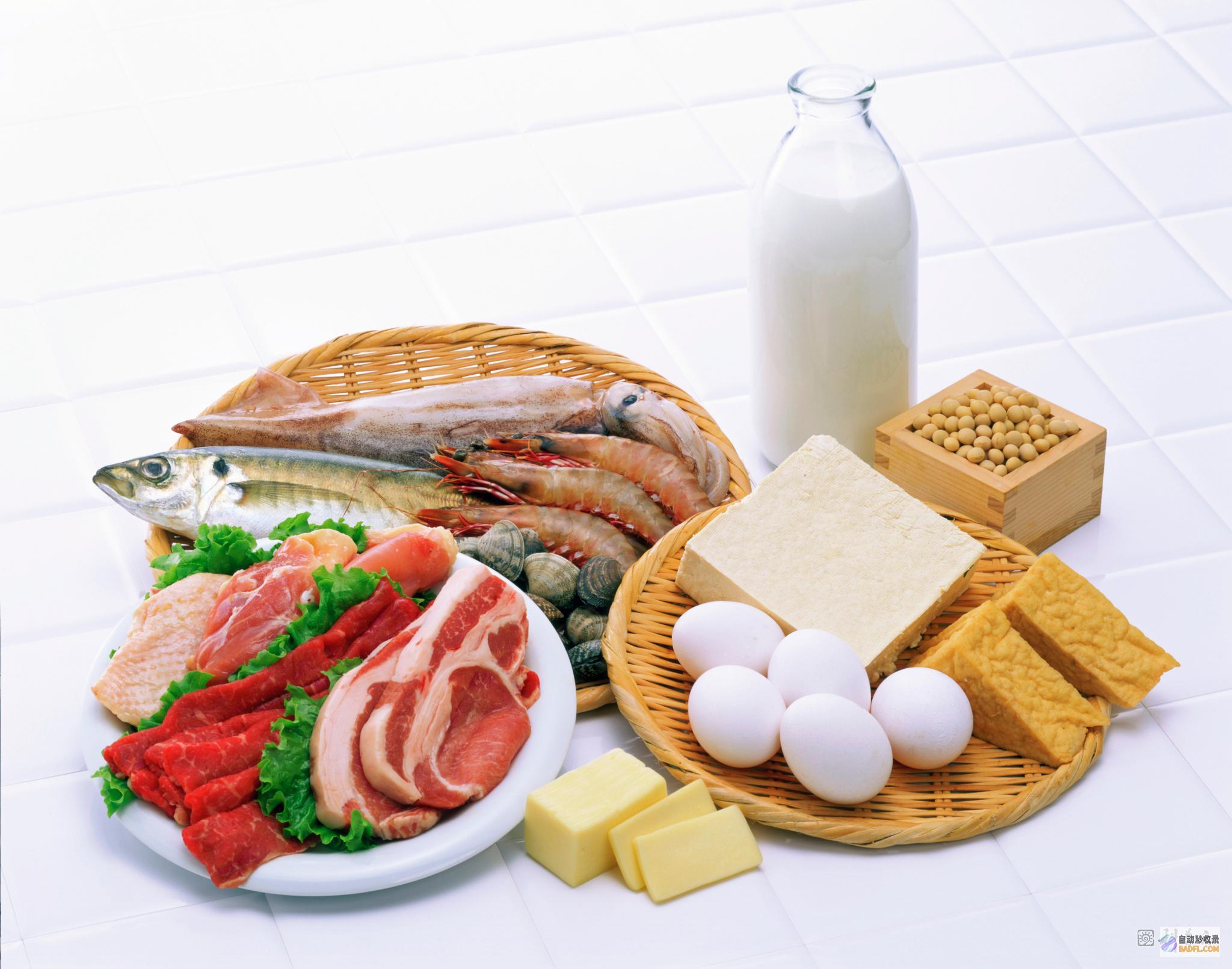 补充优质蛋白质：瘦肉、鱼、豆类等富含优质蛋白质，是人体肌肉和免疫系统的重要组成部分。(补充优质蛋白质的食物有哪些)