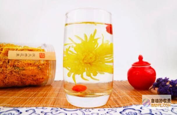 养生茶:将菊花、金银花、枸杞等药材泡茶,具有清热降火、养肝明目的功效。(养生菊花茶的功效作用)