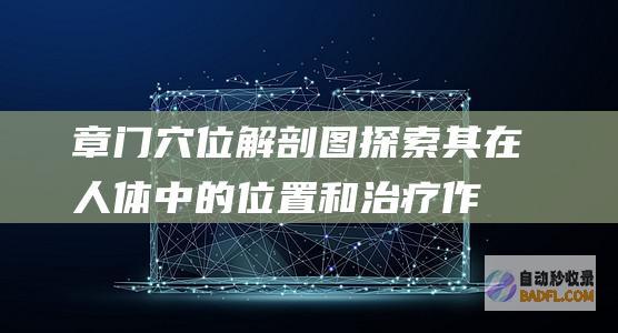 章门穴位解剖图探索其在人体中的位置和治疗作