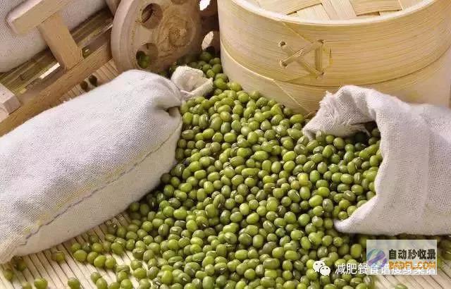 绿豆：健康益处的宝库，包含丰富的营养价值 (绿豆起什么功效)
