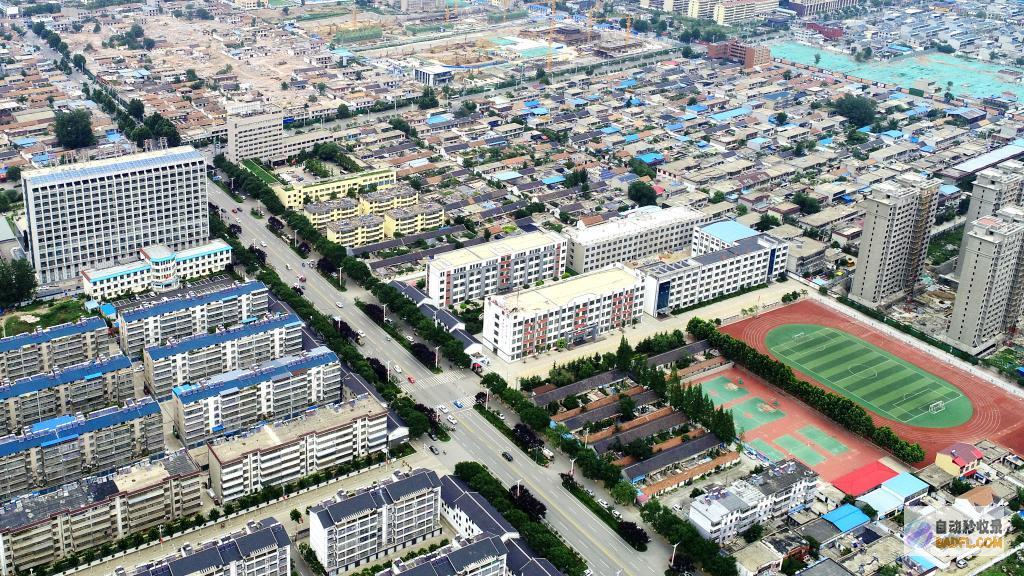 党旗在基层一线高高飘扬丨王传喜抱团共富更有奔