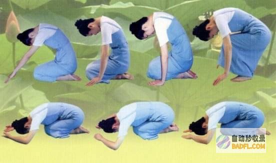 養生之道網：引領健康養生，改善生活品質 (养生之道网官网)