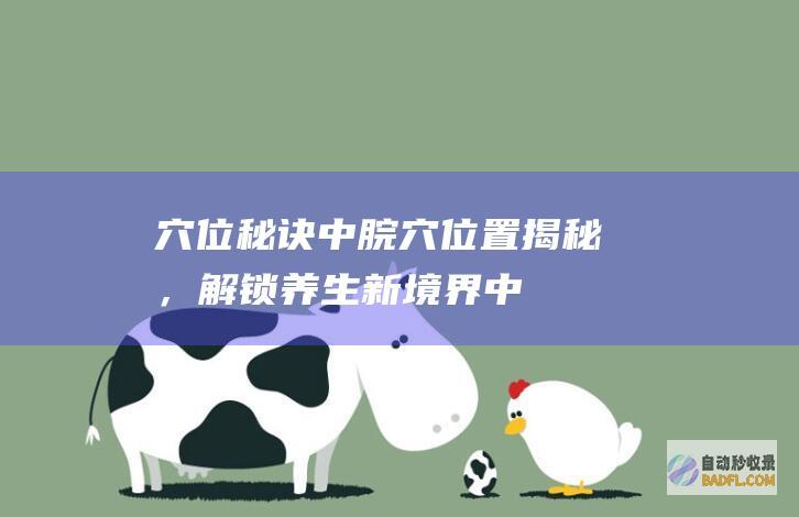 穴位秘诀中脘穴位置揭秘，解锁新境界中