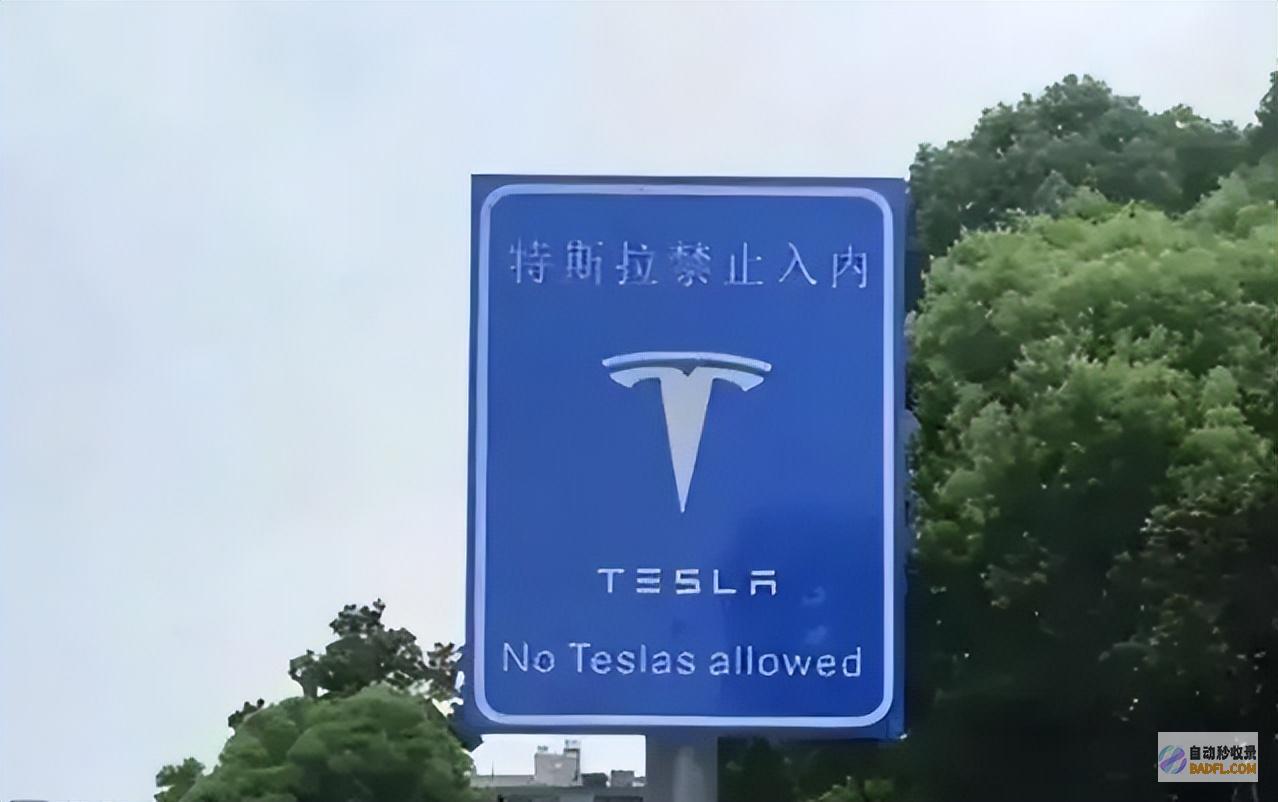 江苏此举惹众怒惨败炸窝了特斯拉出列公务