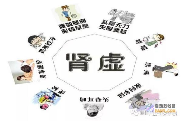 全方位补肾秘方：100+ 精选药酒配方，助你强肾益气 (全方位补肾秘方大全)