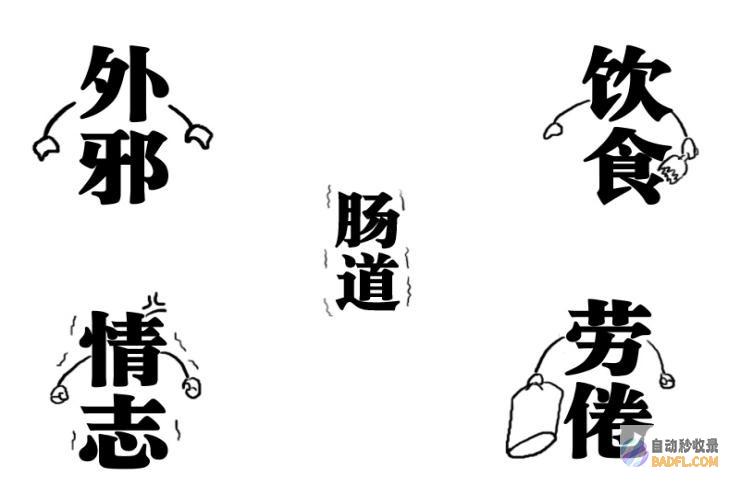 根除便秘烦恼：天然偏方大公开 (根除便秘烦恼的药)