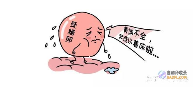 深入探讨黄体酮：理解其疗效、作用和相关的安全考虑 (探及黄体是什么意思)