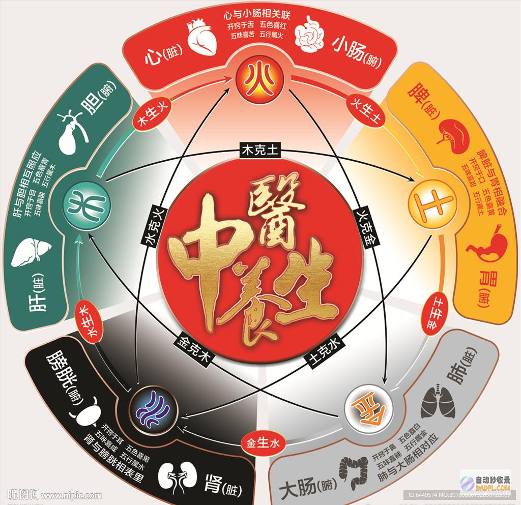 四季养生指南：遵循自然规律，呵护身体健康 (四季养生指南冬季)