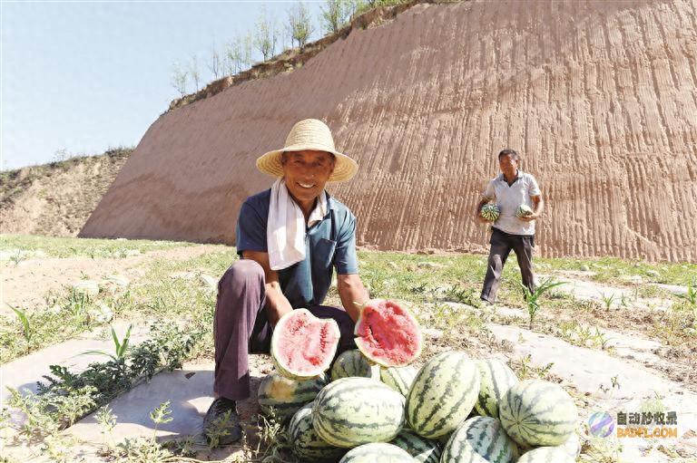 迎来歉收旱地迎来歉收旱地怎么办