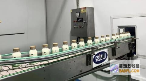 抹茶正式投产完达山乳业抹茶饮品