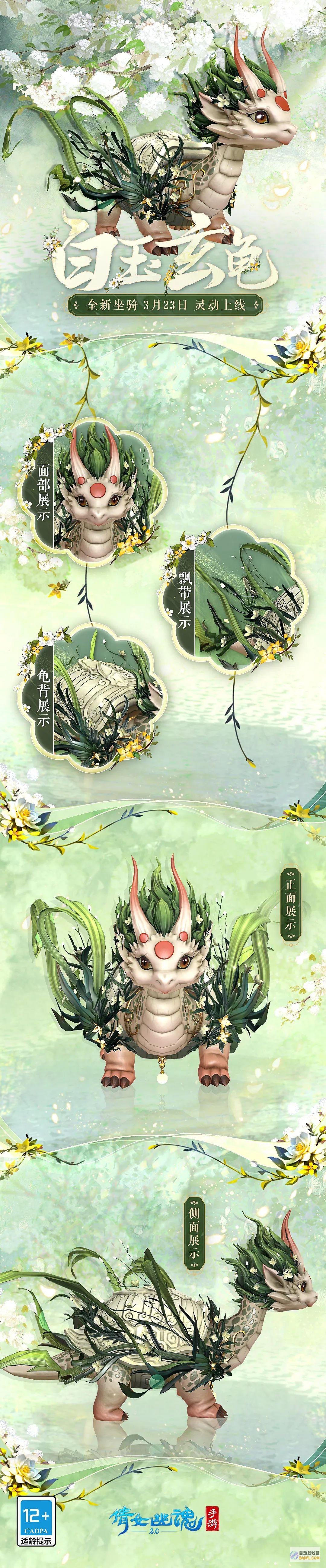 龟龄集的奥秘：全面解析其功效和作用 (龟龄集的说明)