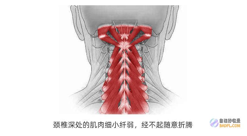 解决颈椎问题，不再受困扰！科学验证的颈椎病偏方全攻略 (解决颈椎问题四步骤是什么)