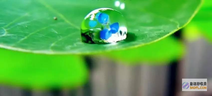 了解十滴水的力量：从头到脚促进健康和活力 (了解十滴水的历史)