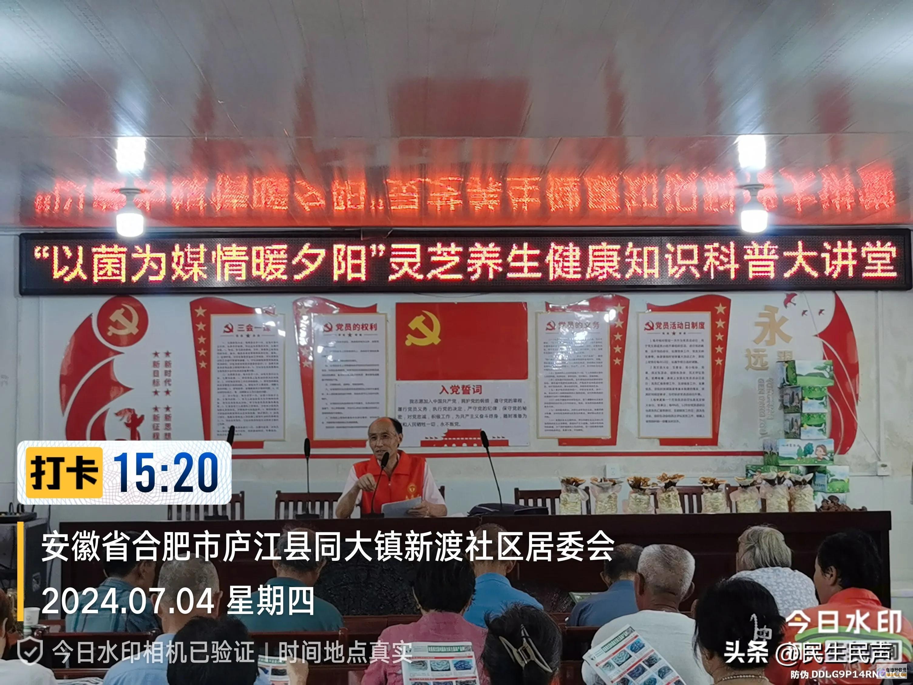 情暖旭日 揭开灵芝的奥秘面纱 以菌为媒 (旭日暖阳)