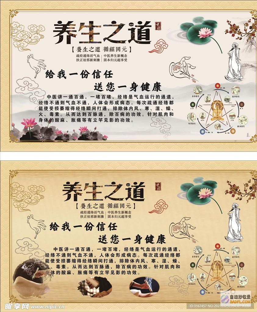 探索养生之道：养生堂2013视频全集 (探索养生之道心得体会)