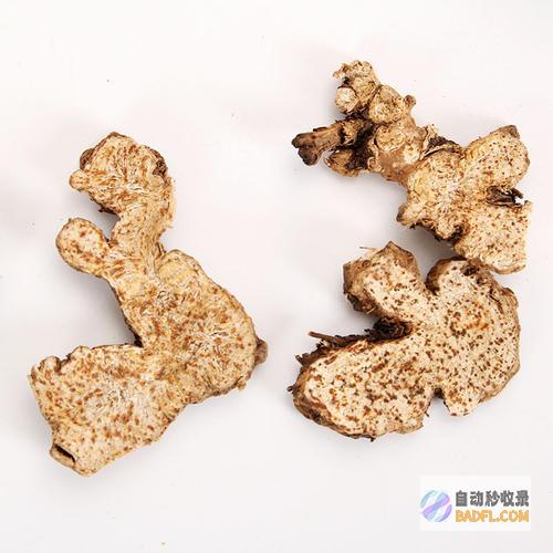 苍术：古老药草的非凡功效与用途 (苍术的药用)