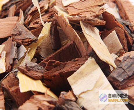苦楝皮的药用价值：功效与作用探索 (苦楝皮的药用是什么)