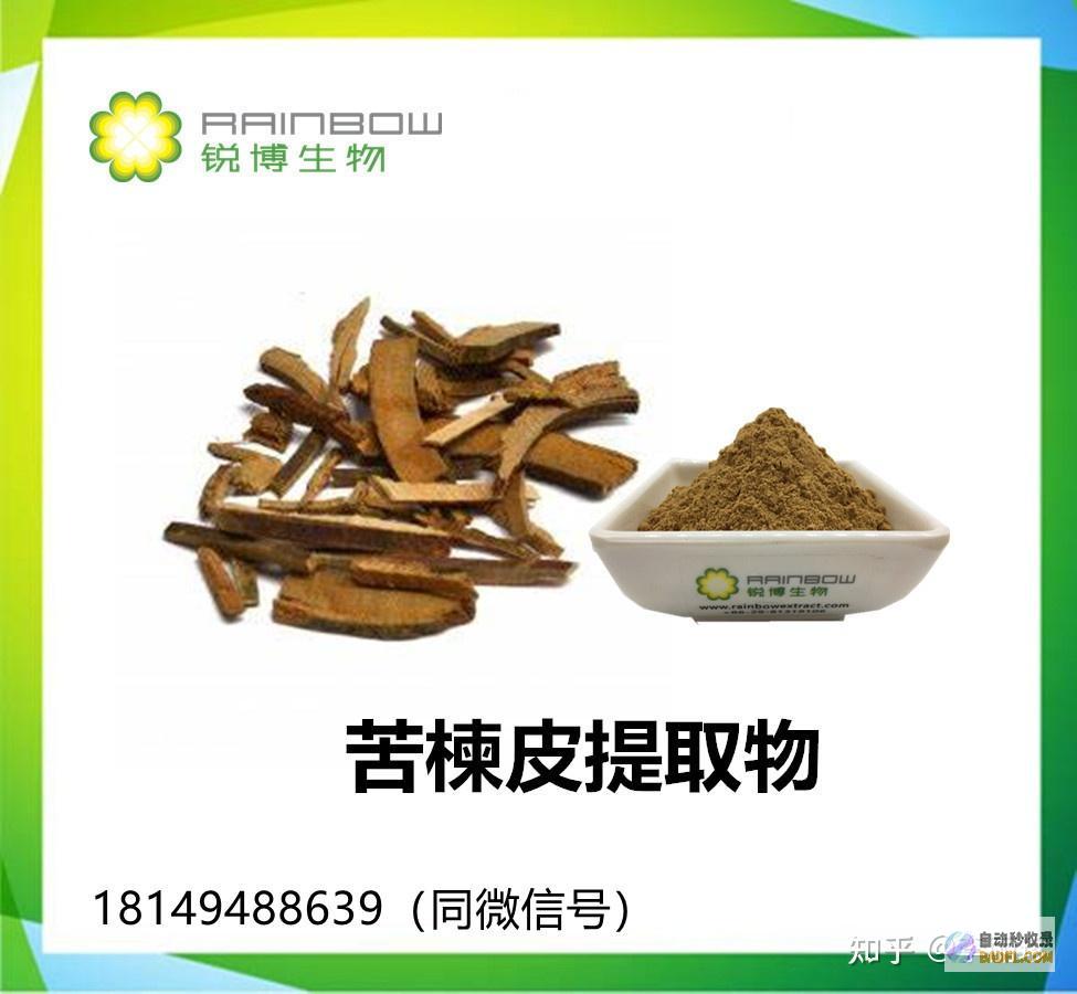 揭秘苦楝皮的神奇力量：从功效到应用 (苦楝皮是什么)