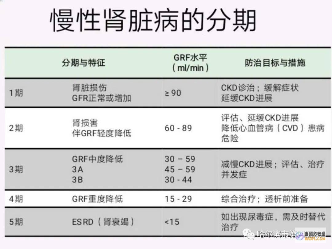 糖尿病防治系列:邀请中国工程院院士宁光院士等专家,深入探讨糖尿病的分类、病因、症状、并发症以及防治措施。(糖尿病防治系统包括)