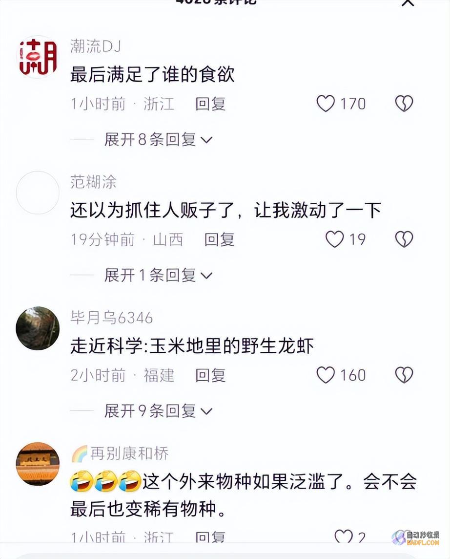 惊现88只胳膊细小网友评论说轻薄处置民警夜