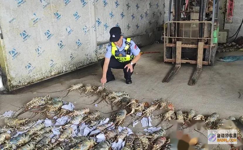 惊现88只胳膊细小网友评论说轻薄处置民警夜