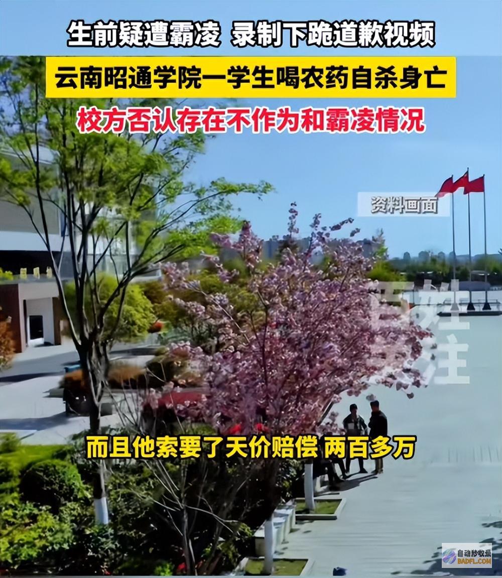 痛心云南21岁女大在校生躲宾馆自杀发声喝药